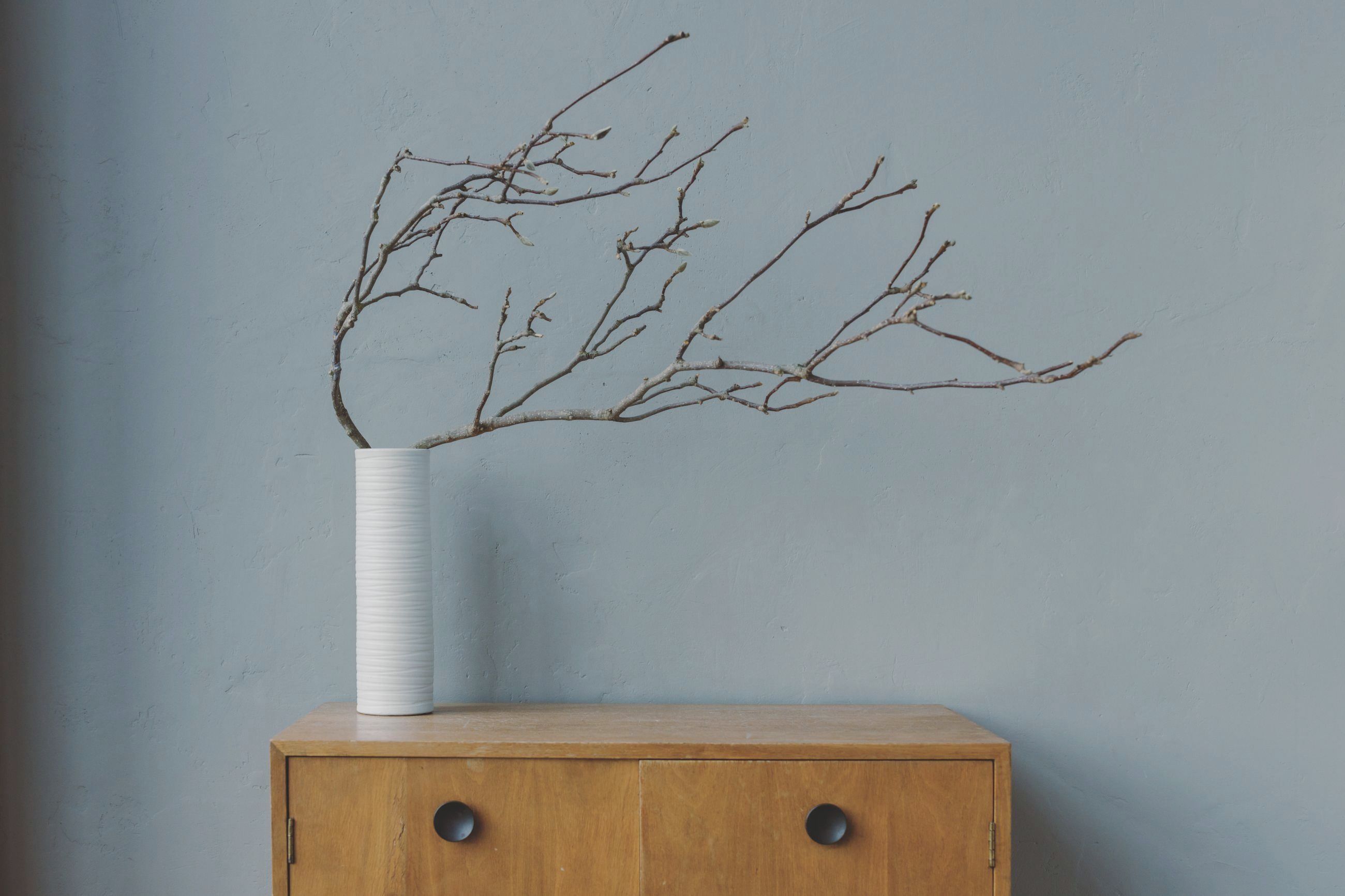 Bare branches in a white vase on a wooden sideboard against a slate-blue wall